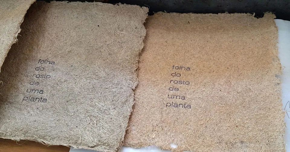 folha do rosto de uma planta, poema de Aline Dias