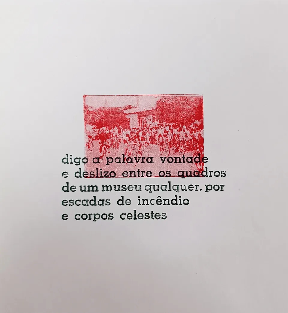 Digo a palavra vontade