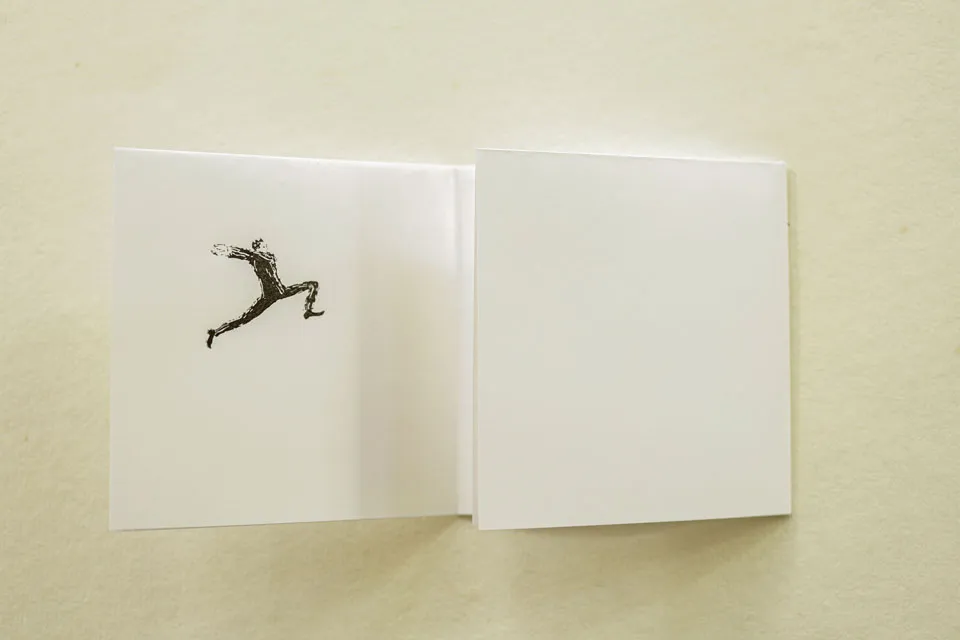 publicação de artista