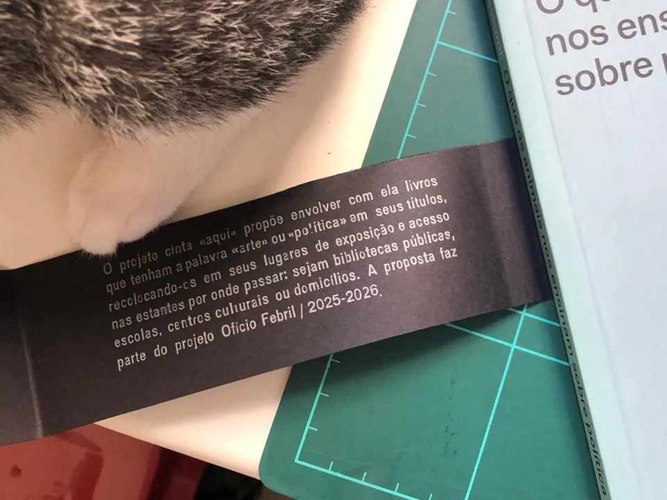 detalhe da intervenção nos livros