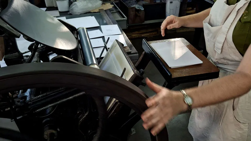 vista da separação de tipos na gaveta