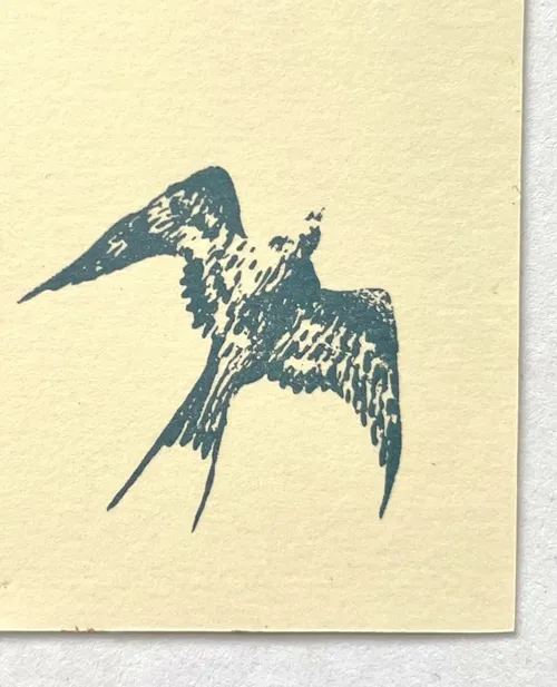 detalhe impressão clichê